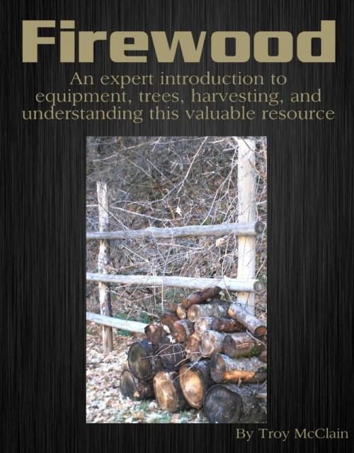 Cover of the book Firewood: An Expert Introduction to Equipment, Trees, Harvesting and Understanding This Valuable Resource by Troy McClain, ebookit