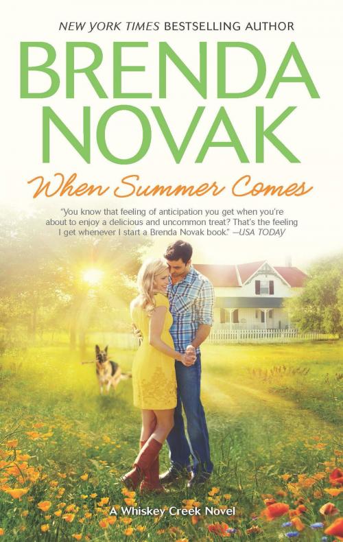 Cover of the book When Summer Comes by Brenda Novak, MIRA Books