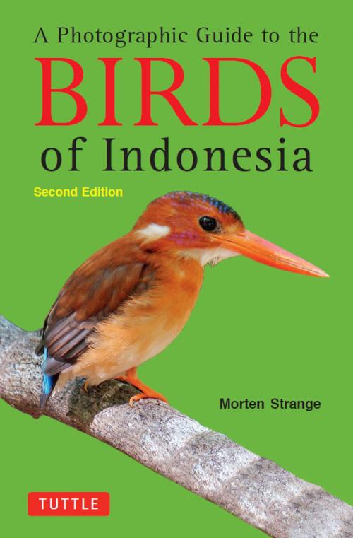 Cover of the book A Photographic Guide to the Birds of Indonesia by , Tuttle Publishing