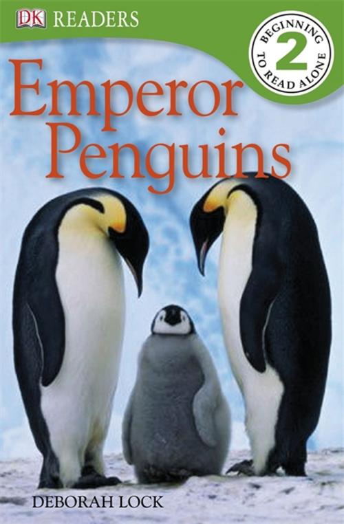 Cover of the book DK Readers L2: Emperor Penguins by Deborah Lock, DK Publishing