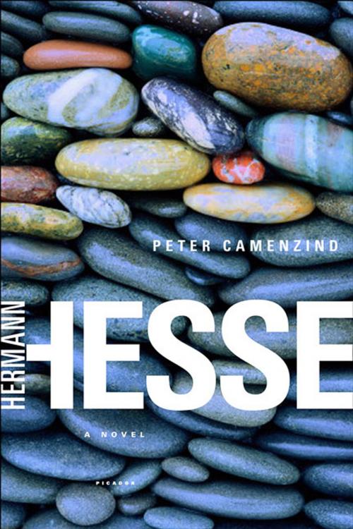 Cover of the book Peter Camenzind by Hermann Hesse, Farrar, Straus and Giroux
