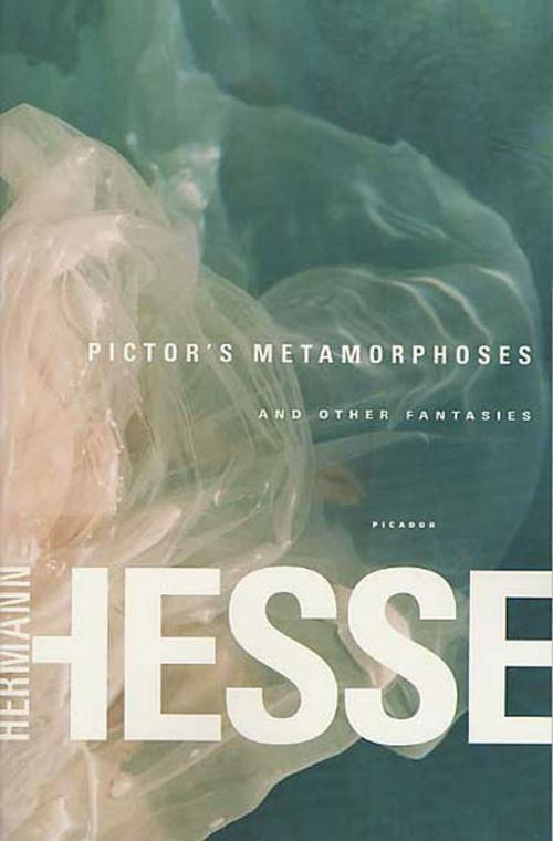 Cover of the book Pictor's Metamorphoses by Hermann Hesse, Farrar, Straus and Giroux