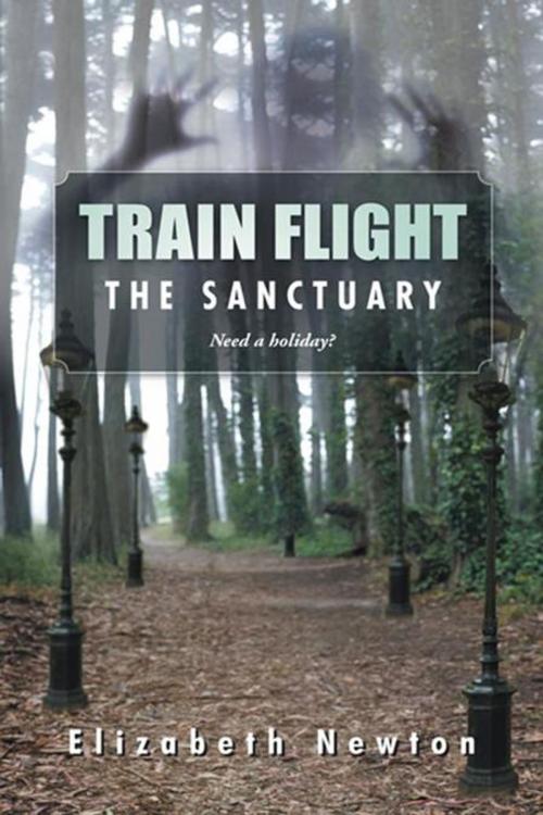 Cover of the book Train Flight by Elizabeth Newton, Trafford Publishing