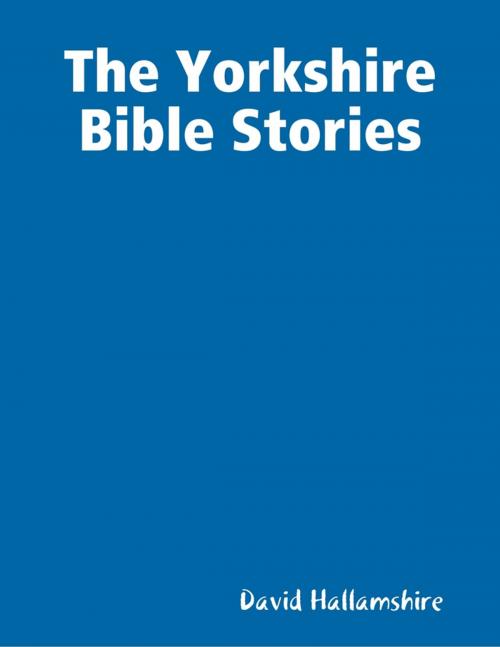 Cover of the book The Yorkshire Bible Stories by David Hallamshire, Lulu.com