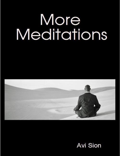 Cover of the book More Meditations by Avi Sion, Lulu.com