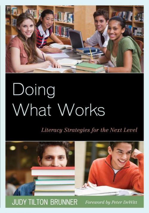Cover of the book Doing What Works by Judy Tilton Brunner, R&L Education