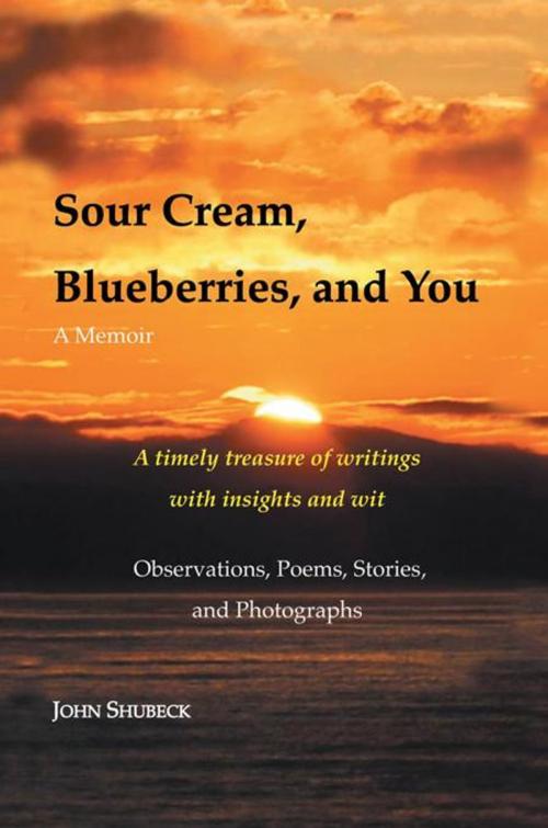 Cover of the book Sour Cream, Blueberries, and You by John Shubeck, iUniverse