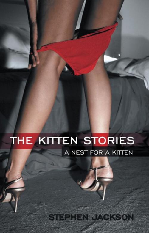 Cover of the book The Kitten Stories by Stephen Jackson, iUniverse