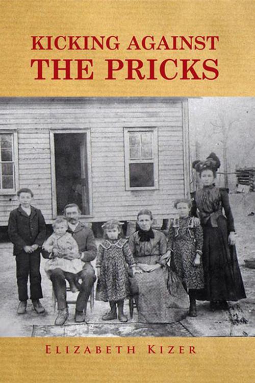 Cover of the book Kicking Against the Pricks by Elizabeth Kizer, Xlibris US