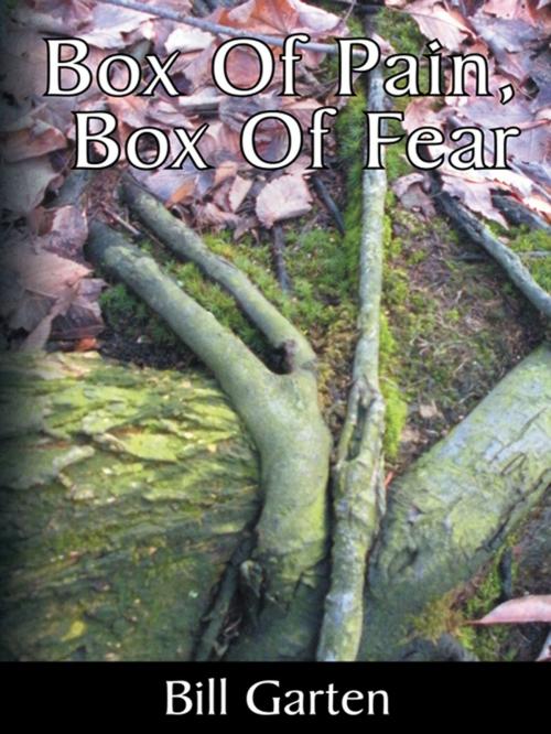 Cover of the book Box of Pain, Box of Fear by Bill Garten, AuthorHouse