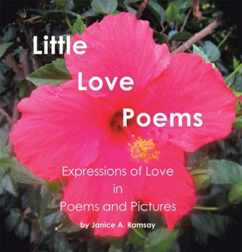 Cover of the book Little Love Poems by Janice A. Ramsay, AuthorHouse
