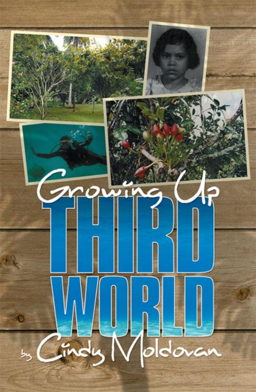 Cover of the book Growing up Third World by Cindy Moldovan, Xlibris US