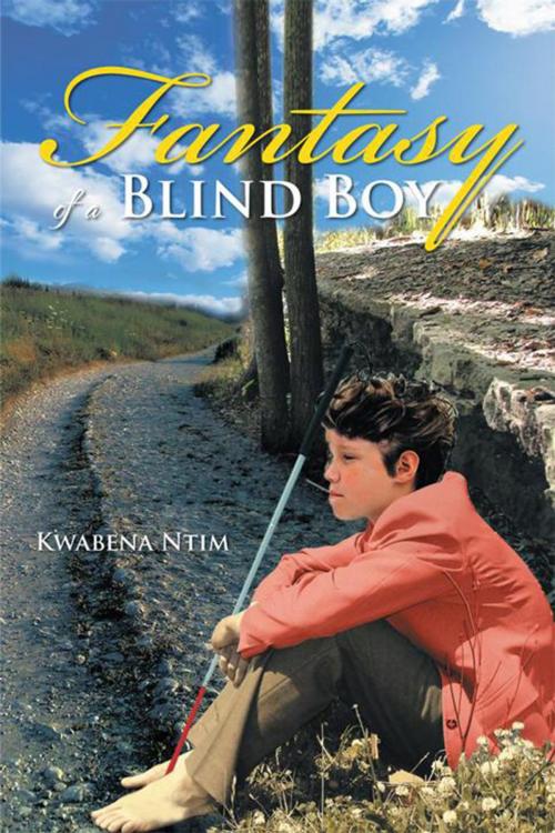 Cover of the book Fantasy of a Blind Boy by Kwabena Ntim, Xlibris UK