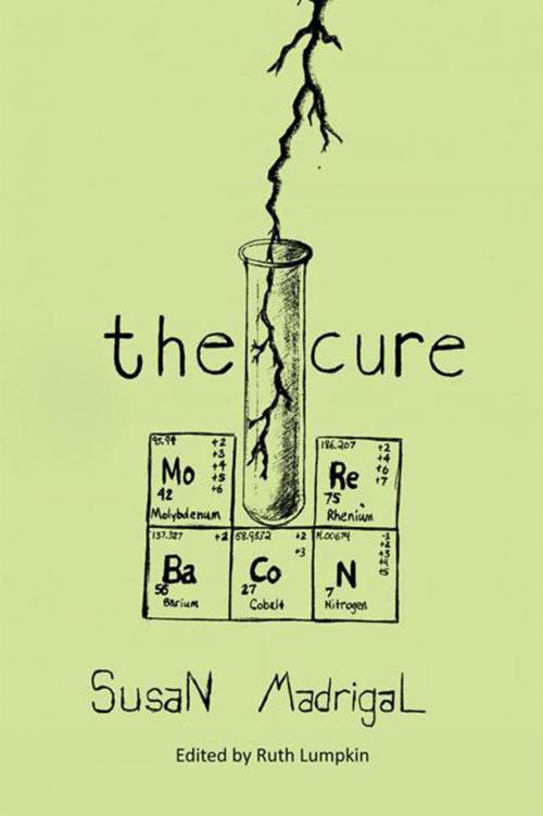 Cover of the book The Cure by Susan Madrigal, Xlibris US