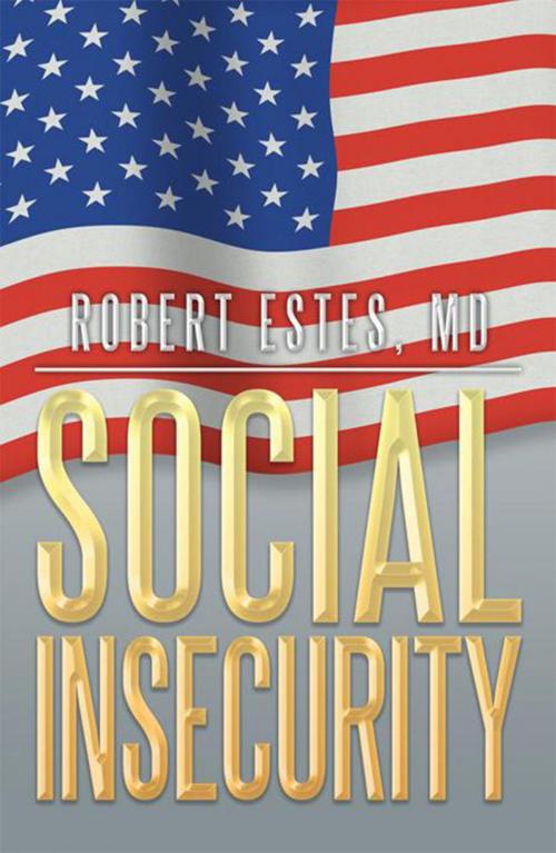 Cover of the book Social Insecurity by Robert Estes, Xlibris US
