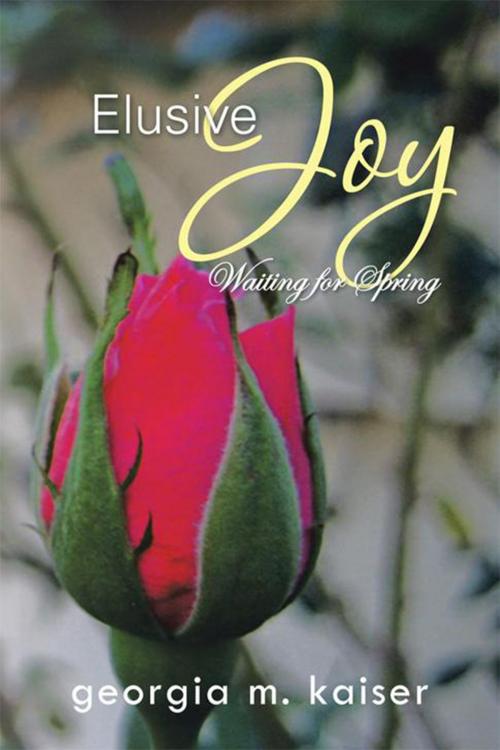 Cover of the book Elusive Joy by Georgia M. Kaiser, Xlibris US