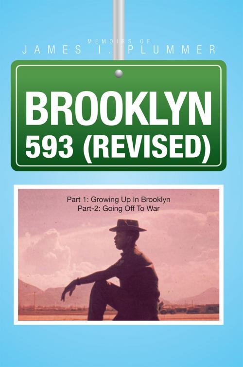 Cover of the book Brooklyn 593 (Revised) by James I. Plummer, Xlibris US