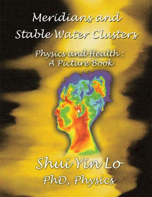 Cover of the book Meridians and Stable Water Clusters by Shui Yin Lo, AuthorHouse