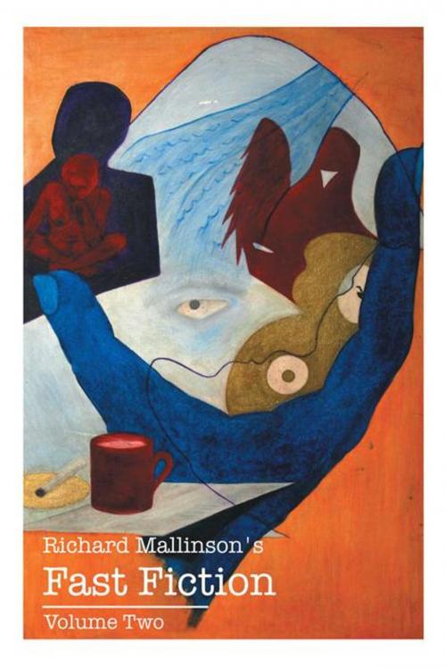 Cover of the book Richard Mallinson's Fast Fiction by Richard Mallinson, AuthorHouse UK