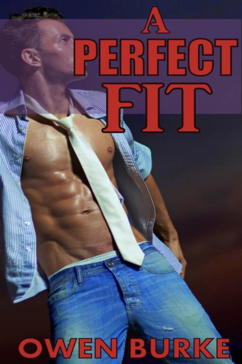 Cover of the book A Perfect Fit (Older Man / Younger Man Gay Sex) by Owen Burke, ButtonFly Books