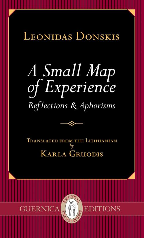 Cover of the book A Small Map of Experience by Leonidas Donskis, Guernica Editions