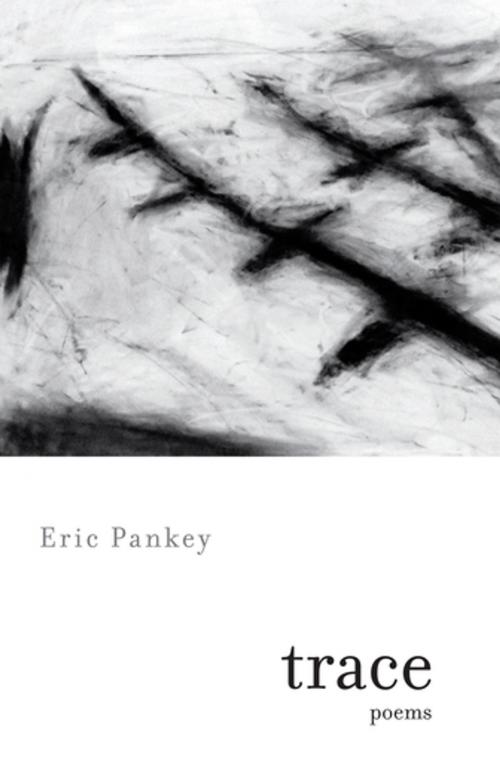 Cover of the book Trace by Eric Pankey, Milkweed Editions