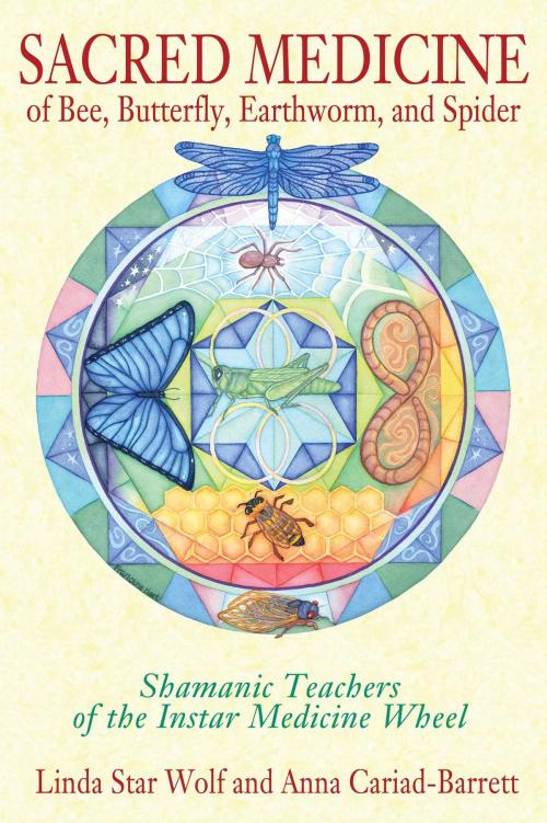 Cover of the book Sacred Medicine of Bee, Butterfly, Earthworm, and Spider by Linda Star Wolf, Ph.D., Anna Cariad-Barrett, DMin, Inner Traditions/Bear & Company