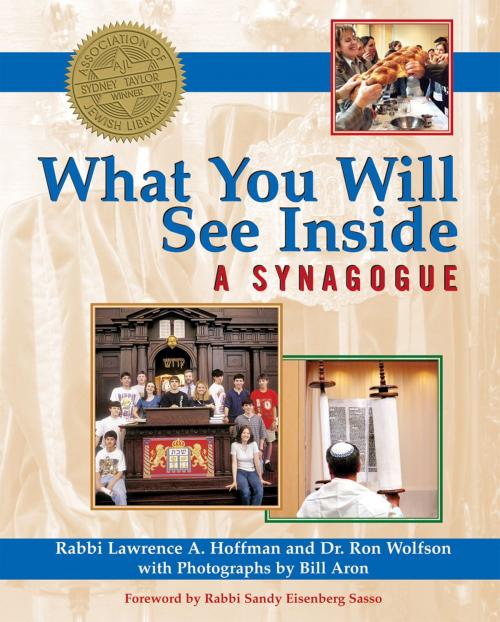 Cover of the book What You Will See Inside a Synagogue by Dr. Ron Wolfson, Rabbi Lawrence A. Hoffman, Turner Publishing Company