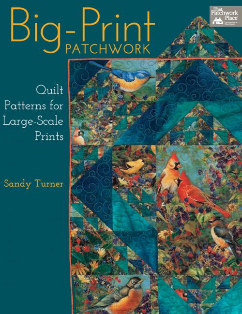 Cover of the book Big-Print Patchwork by Sandy Turner, Martingale