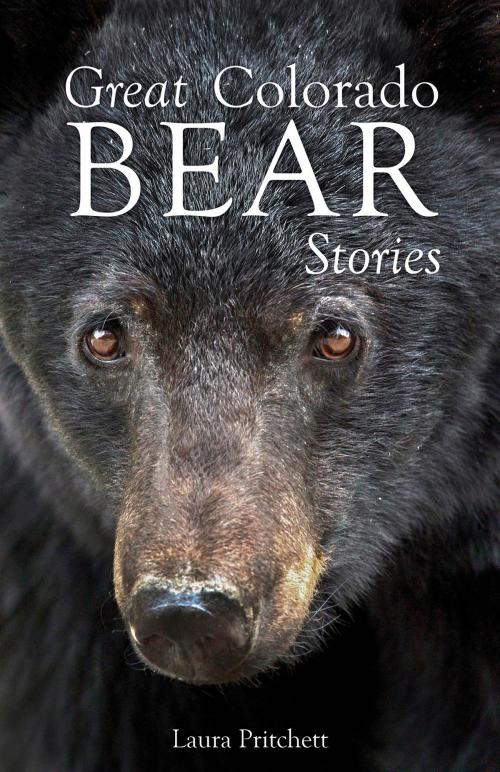 Cover of the book Great Colorado Bear Stories by Laura Pritchett, Riverbend Publishing