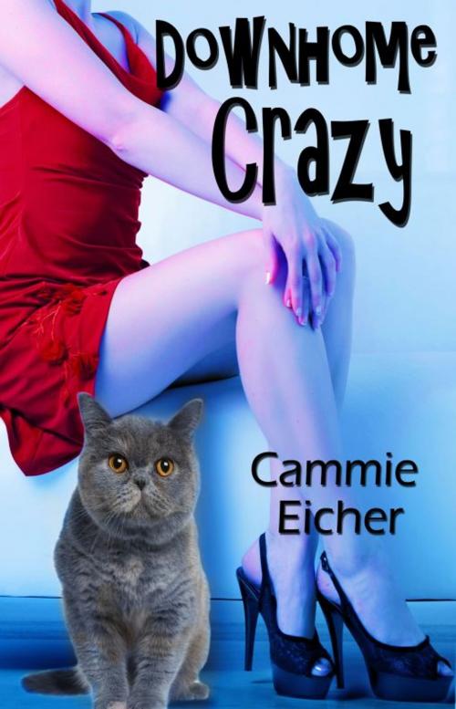 Cover of the book Downhome Crazy by Cammie Eicher, Resplendence Publishing, LLC