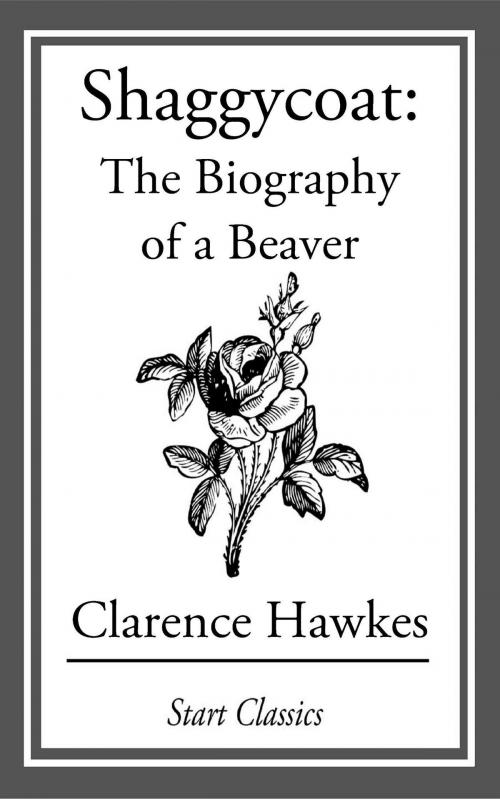 Cover of the book Shaggycoat by Clarence Hawkes, Start Classics