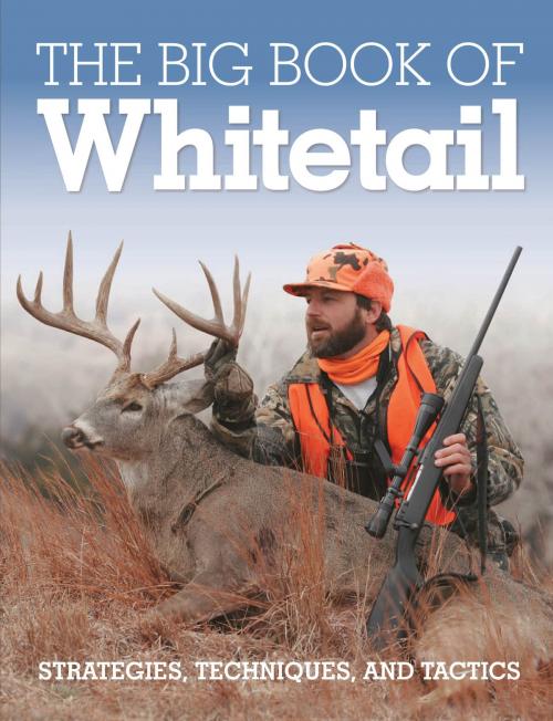Cover of the book The Big Book of Whitetail by Gary Clancy, Michael Furtman, Perich, Spomer, Voyageur Press