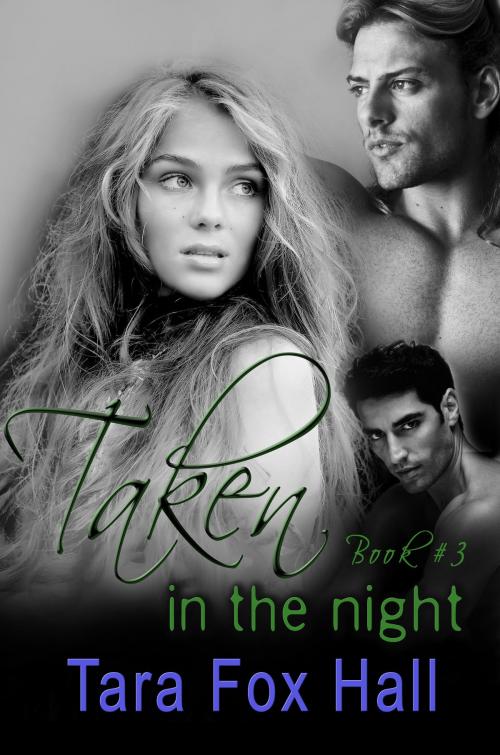Cover of the book Taken in the Night by Tara Fox Hall, Melange Books, LLC
