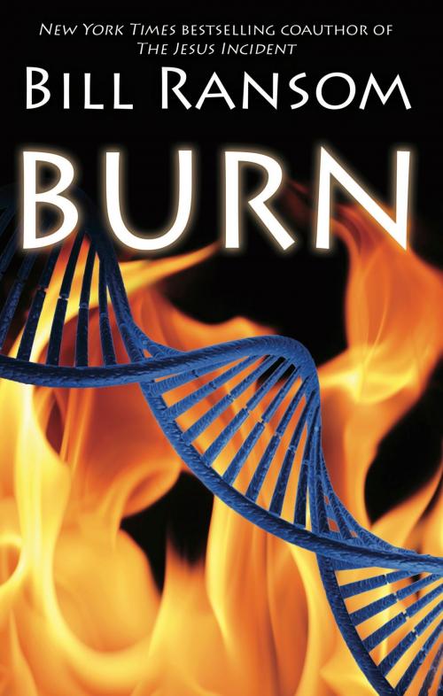 Cover of the book Burn by Bill Ransom, WordFire Press