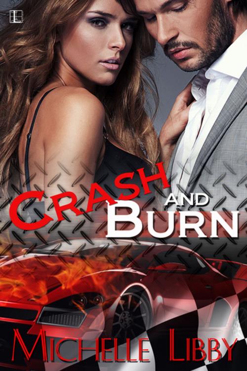 Cover of the book Crash and Burn by Michelle Libby, Lyrical Press