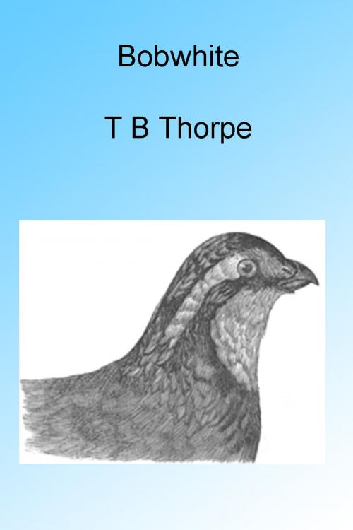 Cover of the book Bobwhite by Thomas Bangs Thorpe, Folly Cove 01930