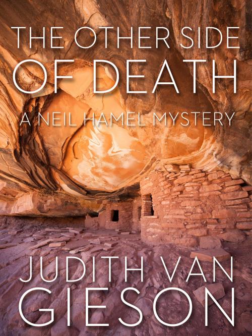 Cover of the book The Other Side of Death by Judith Van Gieson, Blackstone Publishing