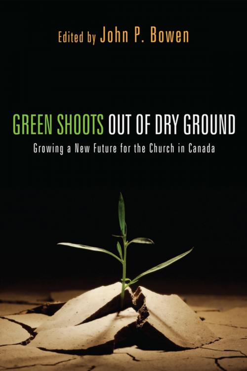 Cover of the book Green Shoots out of Dry Ground by , Wipf and Stock Publishers