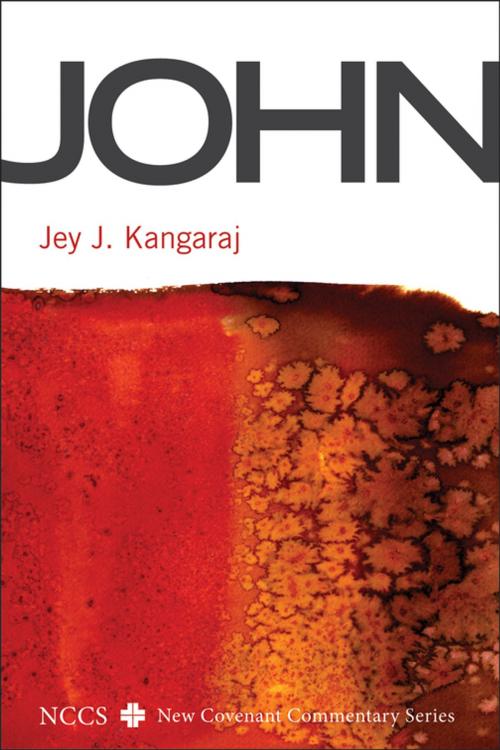 Cover of the book John by Jey J. Kanagaraj, Wipf and Stock Publishers