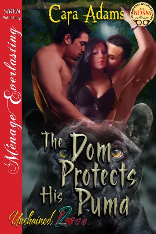 Cover of the book The Dom Protects His Puma by Cara Adams, Siren-BookStrand