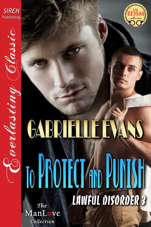 Cover of the book To Protect and Punish by Gabrielle Evans, Siren-BookStrand