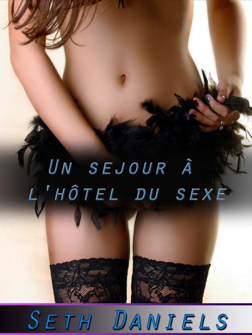 Cover of the book Un sejour à l'hôtel du sexe by Seth Daniels, Black Serpent Erotica
