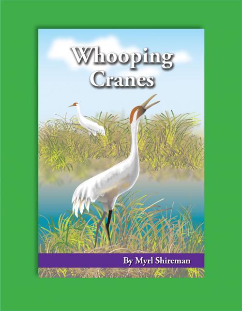 Cover of the book Whooping Cranes by Myrl Shireman, Mark Twain Media