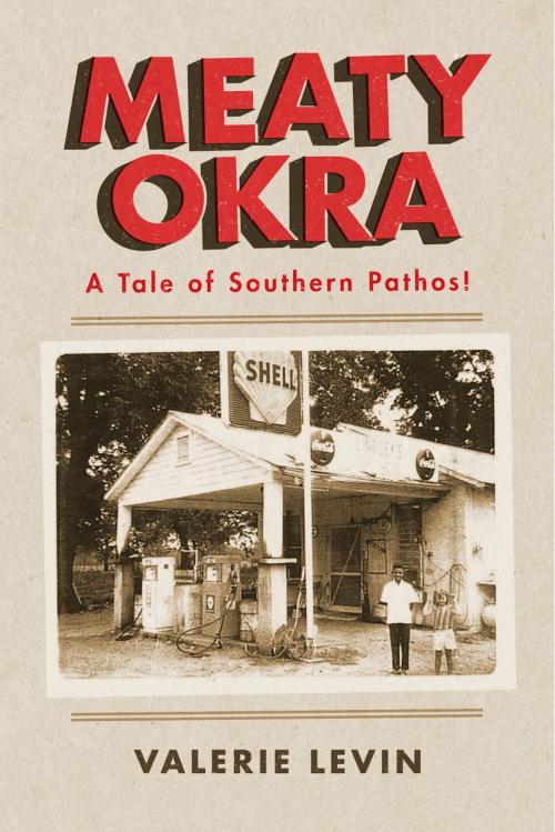 Cover of the book Meaty Okra by Valerie Levin, BookBaby