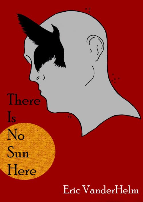 Cover of the book There Is No Sun Here by Eric VanderHelm, BookBaby
