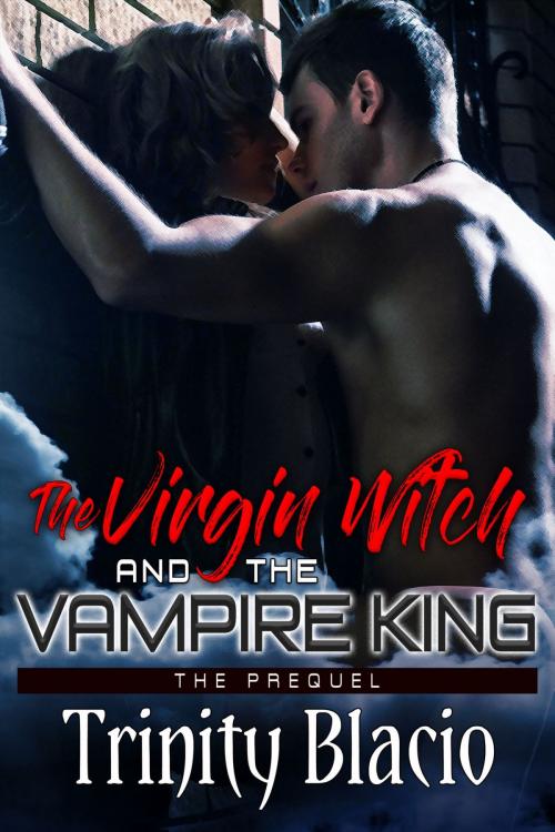 Cover of the book The Virgin Witch and the Vampire King by Trinity Blacio, Riverdale Avenue Books