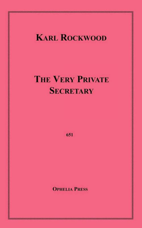 Cover of the book The Very Private Secretary by Karl Rockwood, Disruptive Publishing