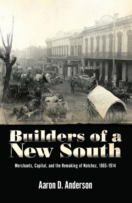 Cover of the book Builders of a New South by Aaron D. Anderson, University Press of Mississippi