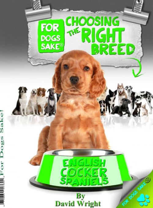 Cover of the book Choosing the Right Breed - English Cocker Spaniels by David Wright, For Dogs Sake®